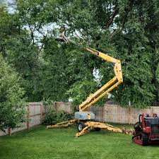 Leaf Removal in Beckett, NJ